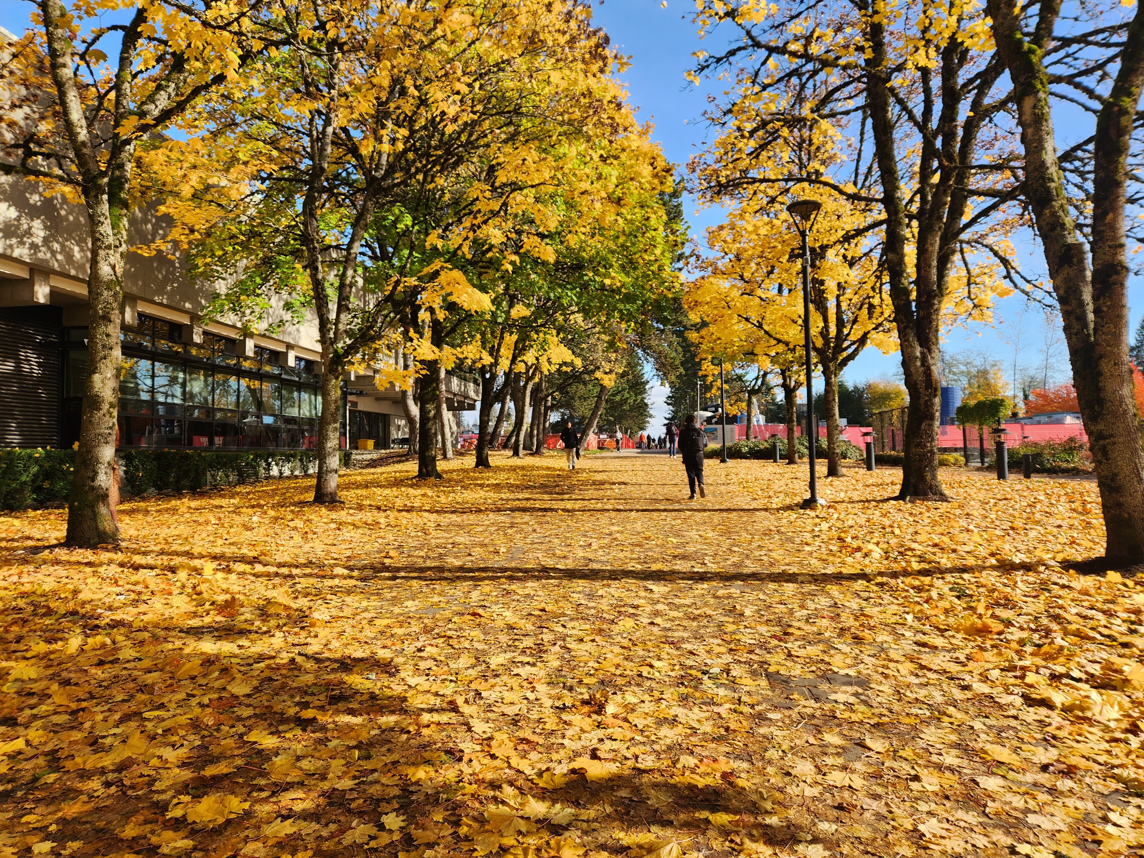 campusFall